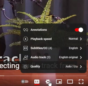 youtube decemeber social media platform updates aloud how to dub youtube videos language options in setting on youtube video